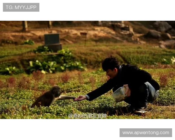 偶遇足球明星的奇妙瞬间如何用文字记录与分享