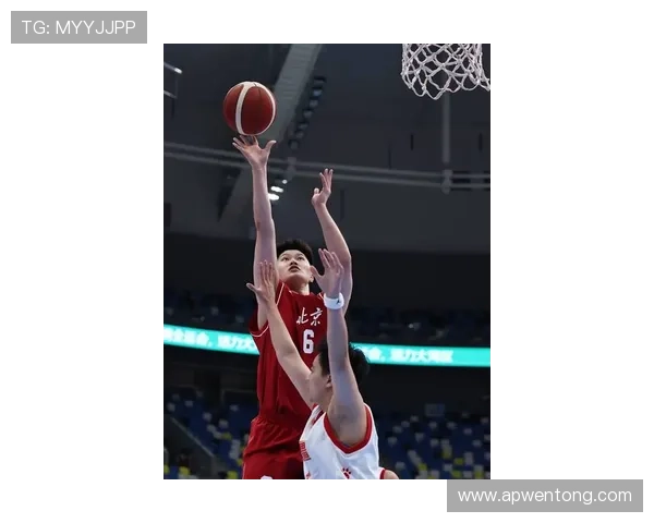 北京篮球队在锦标赛中的表现分析与状态评估